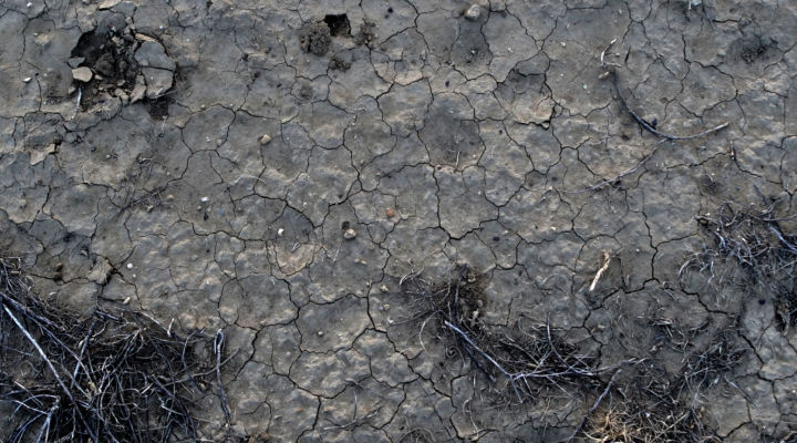 Trinity site soil, 2017. Photo: Gabriel Ruiz-Larrea