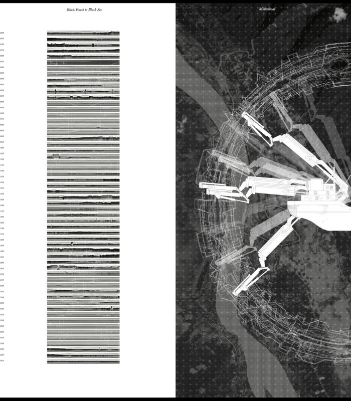Divna Desnica & Lazar Belic, Black Forest to Black Sea + Motherboat, 2016. Image courtesy the authors.