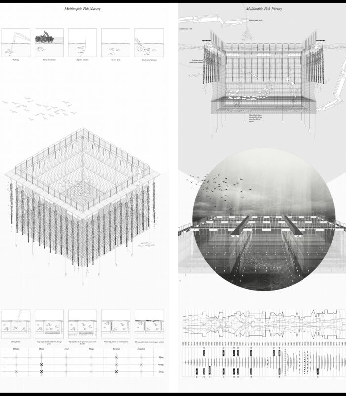 Divna Desnica & Lazar Belic, Multitrophic Fish Nursery, 2016. Image courtesy the authors.