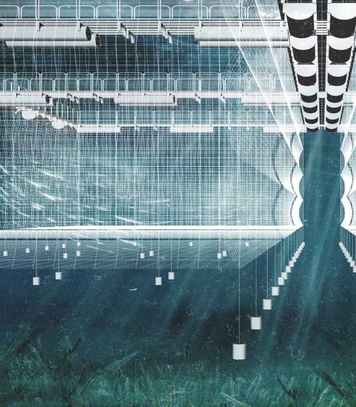 Divna Desnica & Lazar Belic, Inside the Cyborg, Multitrophic Fish Nursery, 2016. Image courtesy the authors.