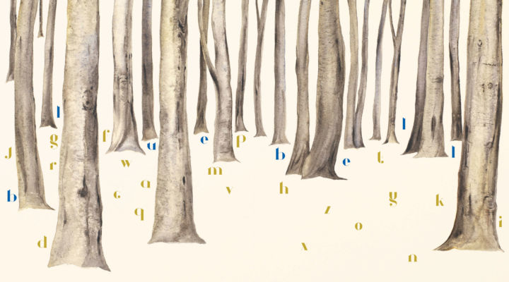 ‘Forest of lost words’. Courtesy Robert Macfarlane and Jackie Morris, The Lost Words (2017), Hamish Hamilton.