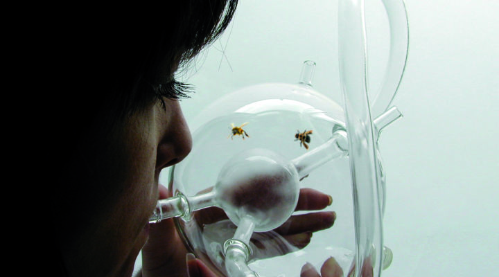 BEE'S by Susana Soares, 2007.