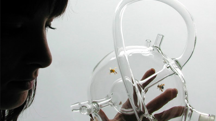 BEE'S by Susana Soares, 2007.