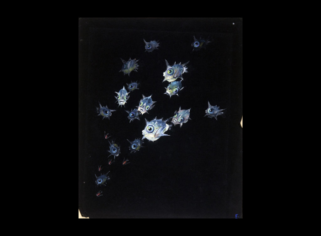 Else Bostelmann, Mola mola, Bermuda, 1931.