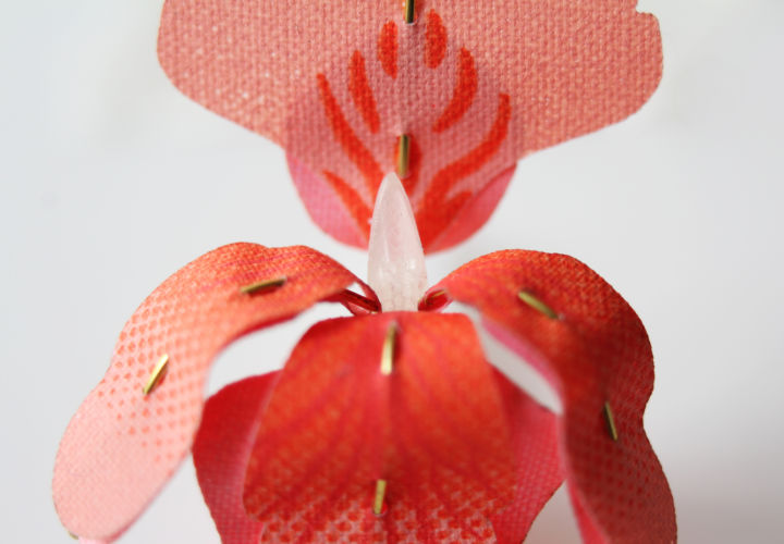 Butterfly Flower, Insectology Food for Buzz by Atelier Boelhouwer. Photo by Janneke van der Pol